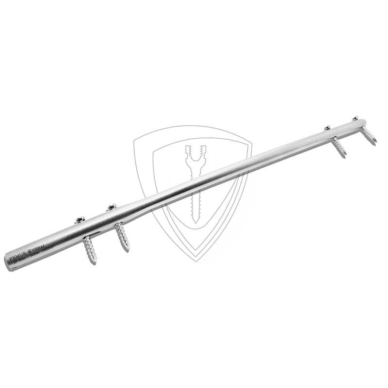 Interlocking Femur Nail